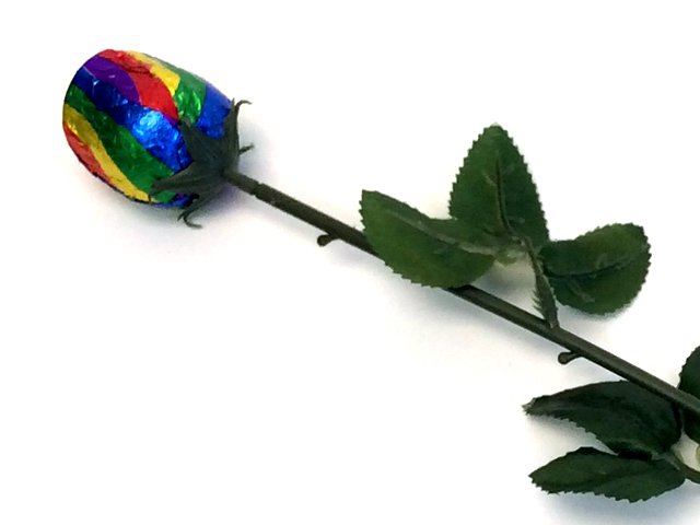 Chocolate Rose - Rainbow