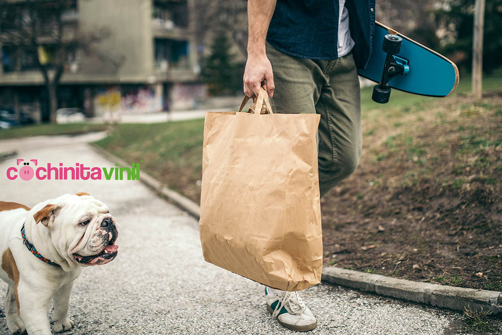 Beneficios de las bolsas de papel personalizadas para regalos o para tu negocio: Cochinita Vinil