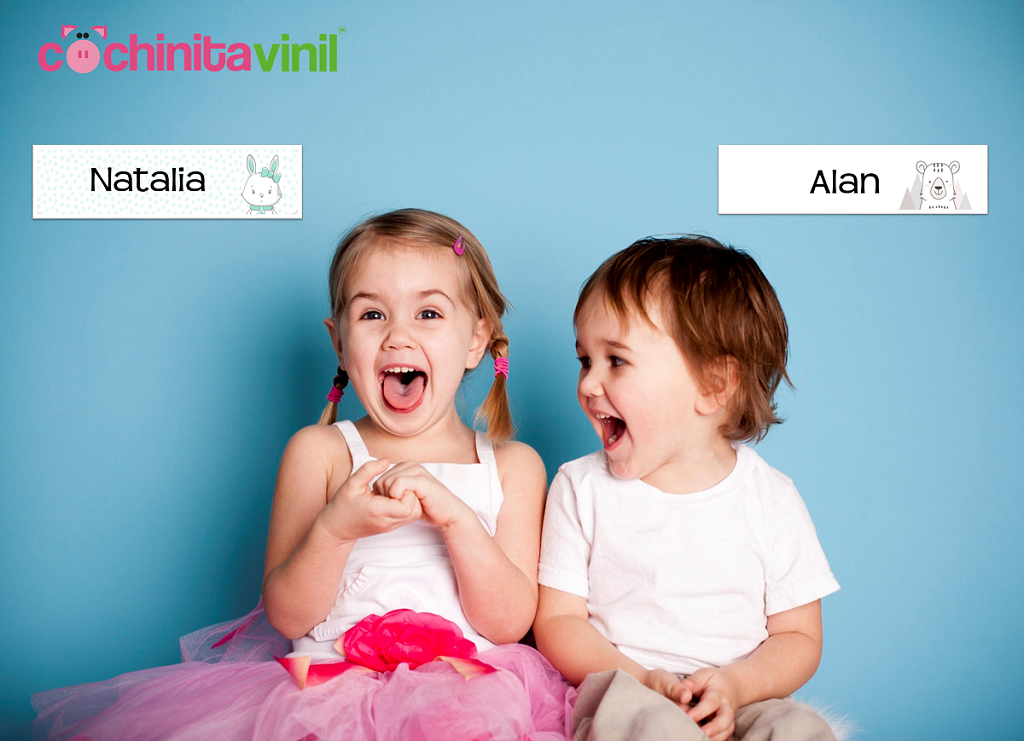 Etiquetas de vinil personalizadas para distinción de juguetes y cuadernos de hermanos niña y niño: Cochinita Vinil