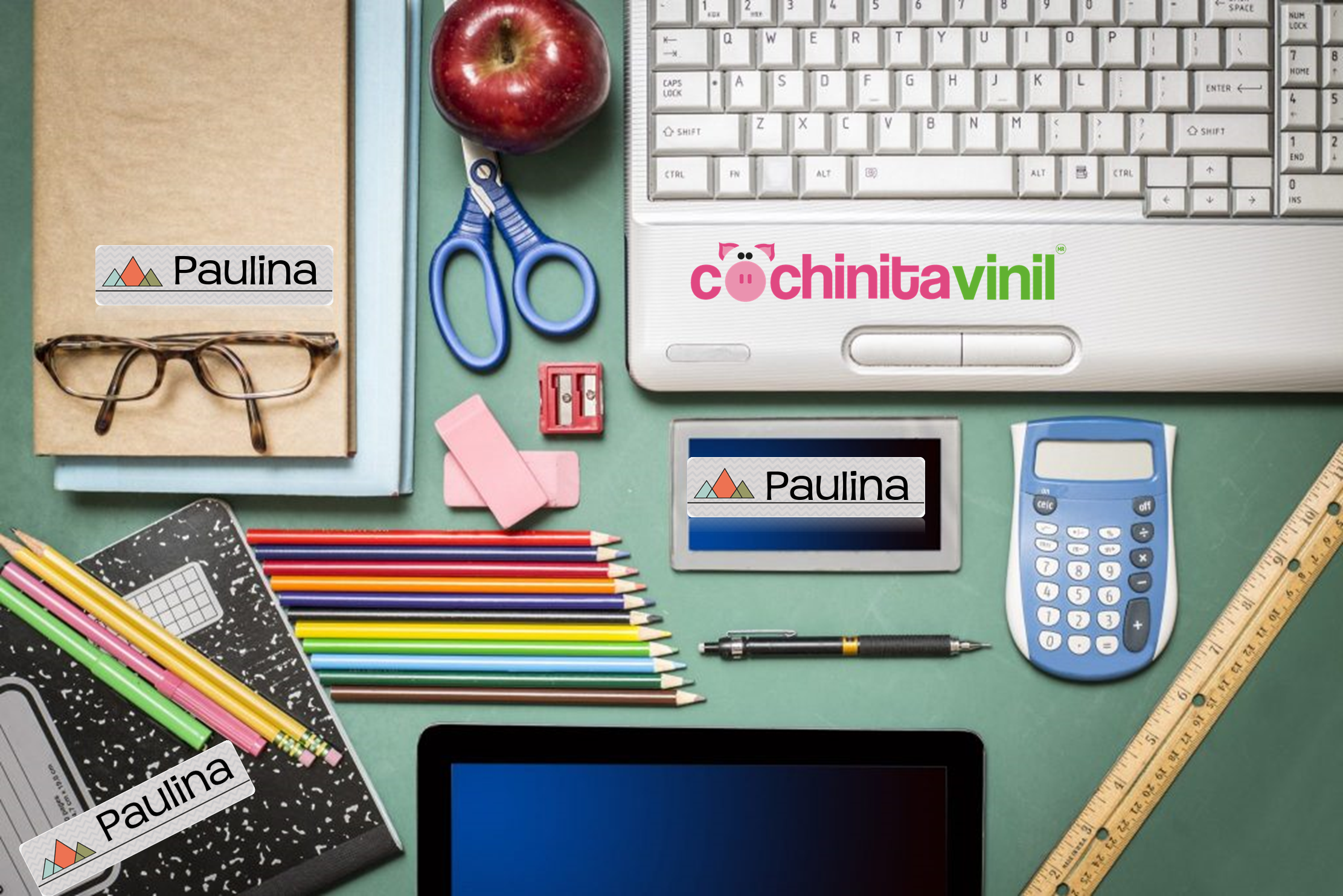 Etiquetas de vinil personalizadas para útiles y accesorios de oficina: Cochinita Vinil