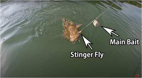 Bait Stalkers: Stinger Flies to Catch Extra Catfish, 5-Pack – Catfish Sumo