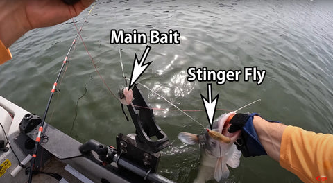 Bait Stalkers: Stinger Flies to Catch Extra Catfish, 5-Pack – Catfish Sumo