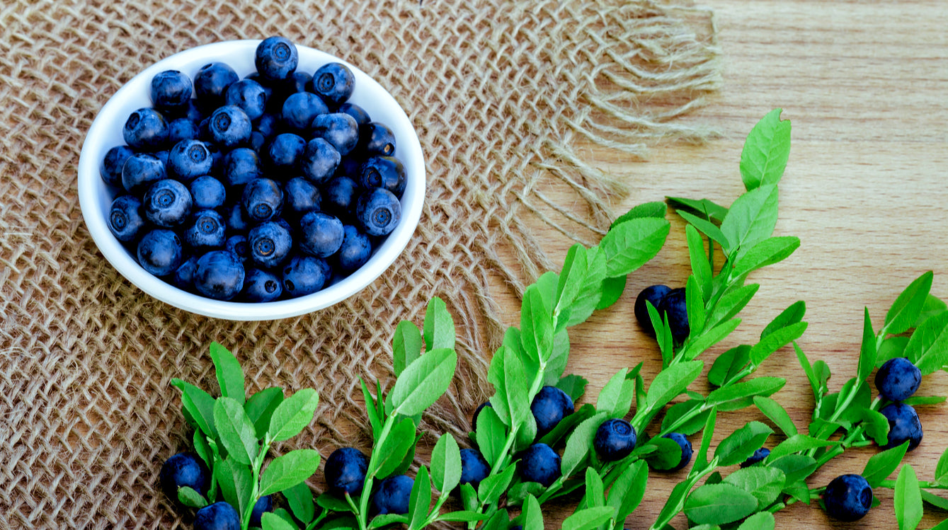 Bilberry Benefits For Your Skin - TheodermaSkinCare.com