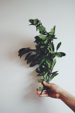 wreath making boughs