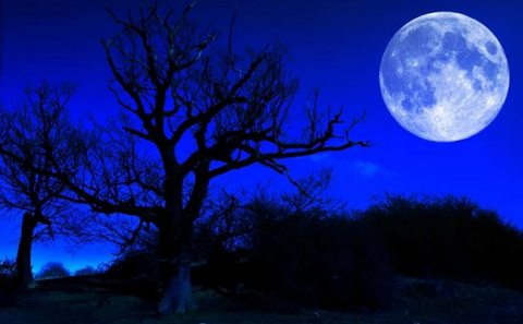 Blue moon