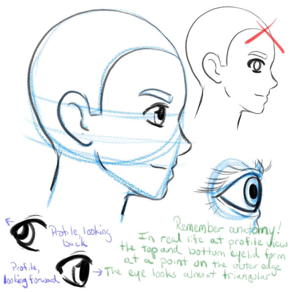 How to Draw Anime Eyes From Different Angles, Anime Outline