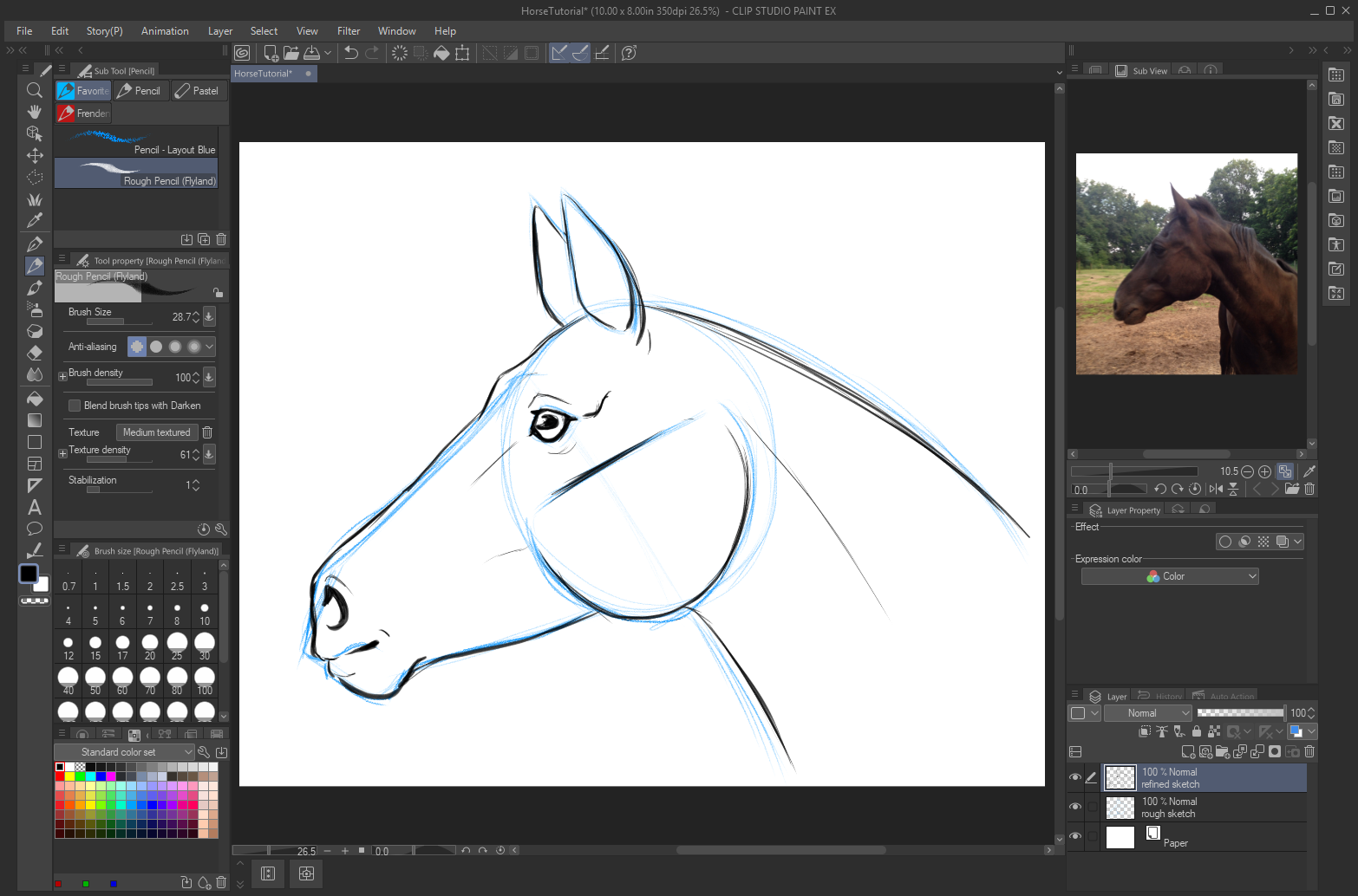 Easy Steps to Draw a Horse Head - Bing | Horse art drawing, Horse drawings,  Animal portraits art