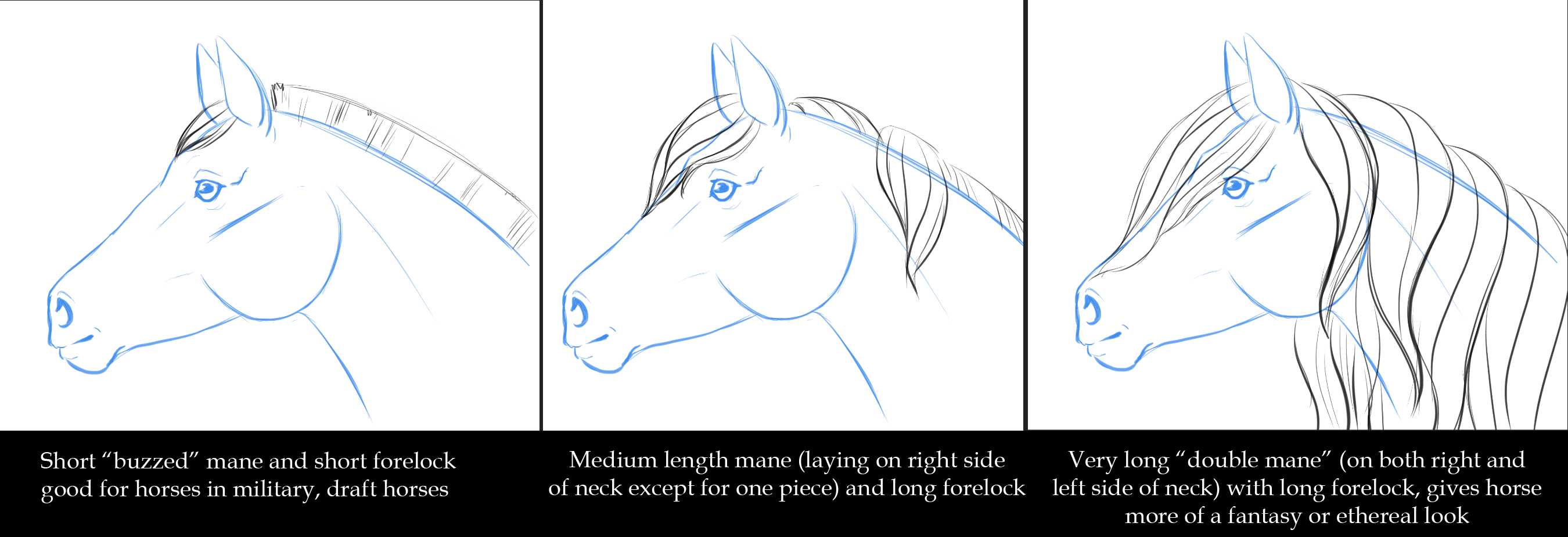 Horse drawings, Horse sketch, Girl drawing sketches