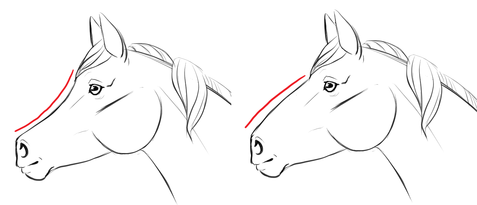 How to draw Horse Face Drawing step by step || Best Horse Face drawing easy  || #drawing #art - YouTube