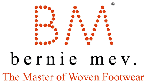 Bernie Mev Logo