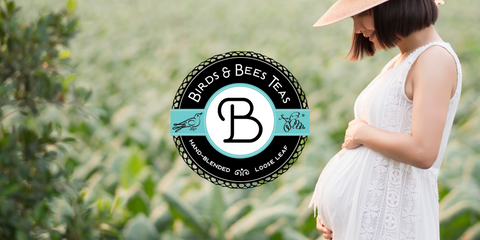 Birds & Bees Teas Logo with pregnant woman in white dress in a field. Pregnancy photoshoot