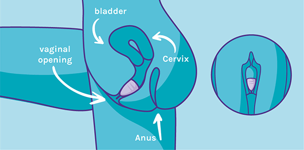 Where should my Menstrual Cup be positioned inside of me?