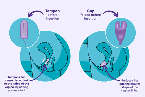 Menstrual cup & tampon