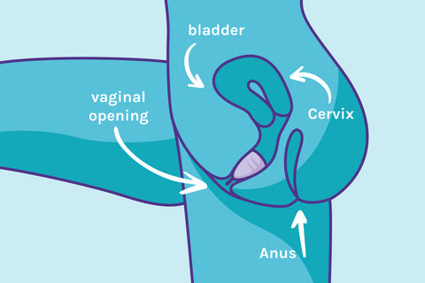Fitting a menstrual cup inside
