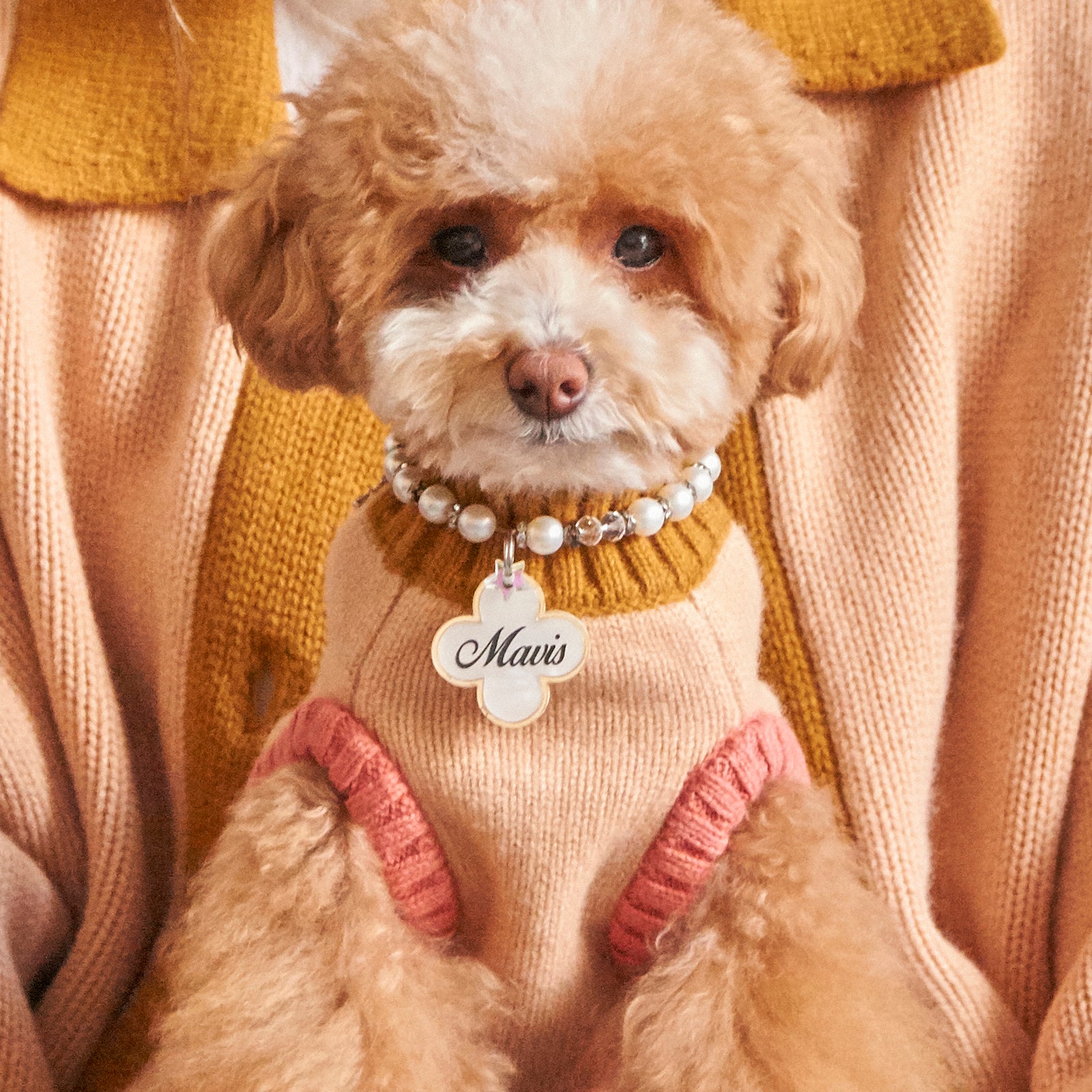 Toy sale poodle sweaters