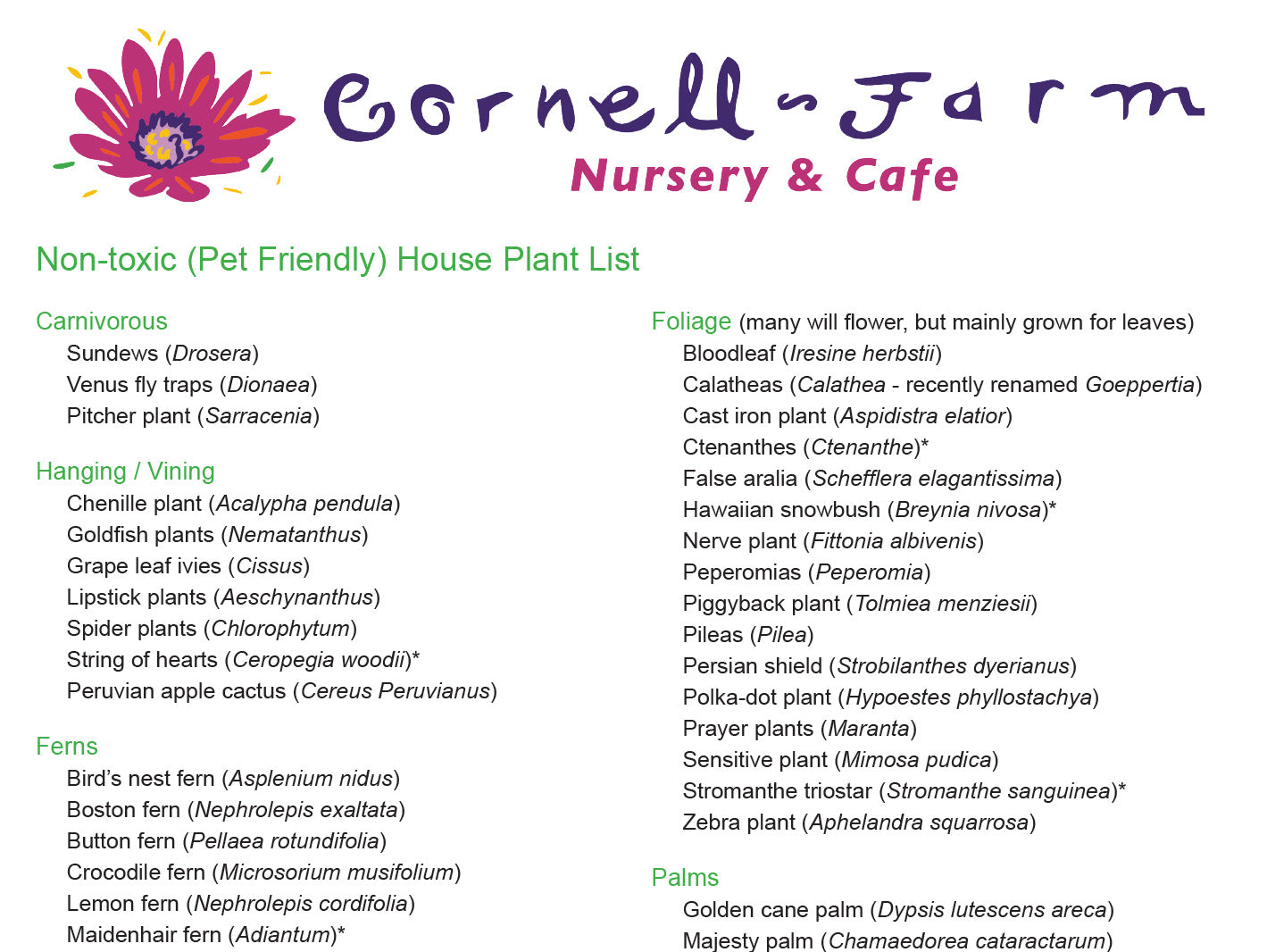 Pet Friendly Houseplant List Cornell Farm