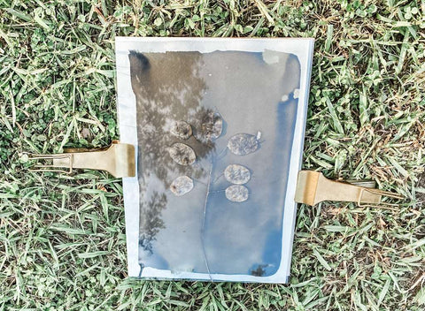 Creative Kids perspex cyanotype print
