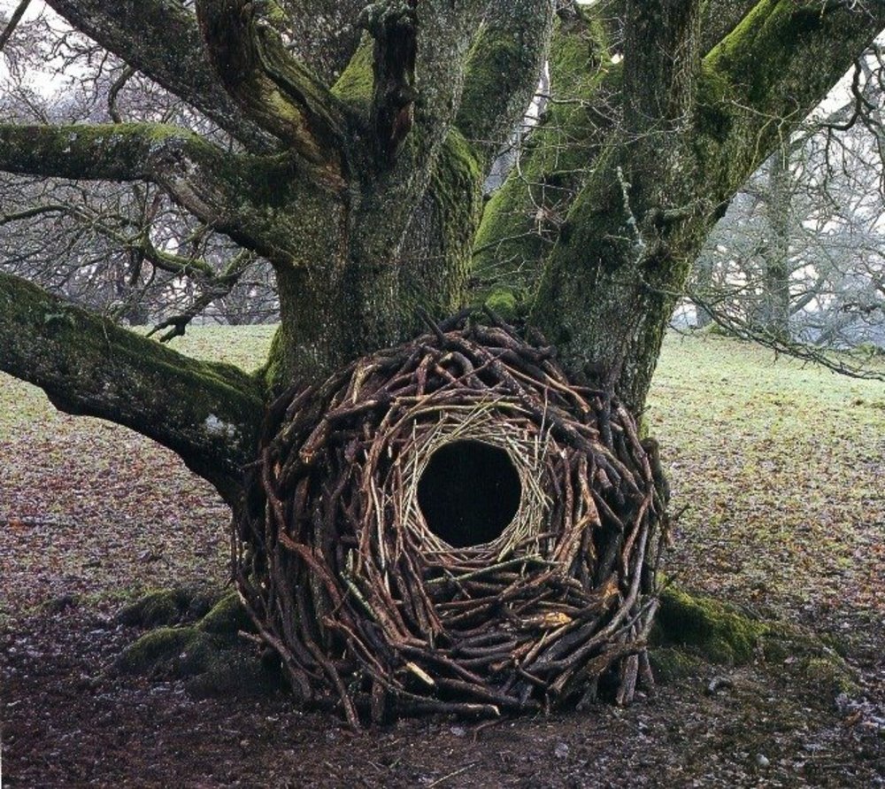 Andy Goldsworthy art