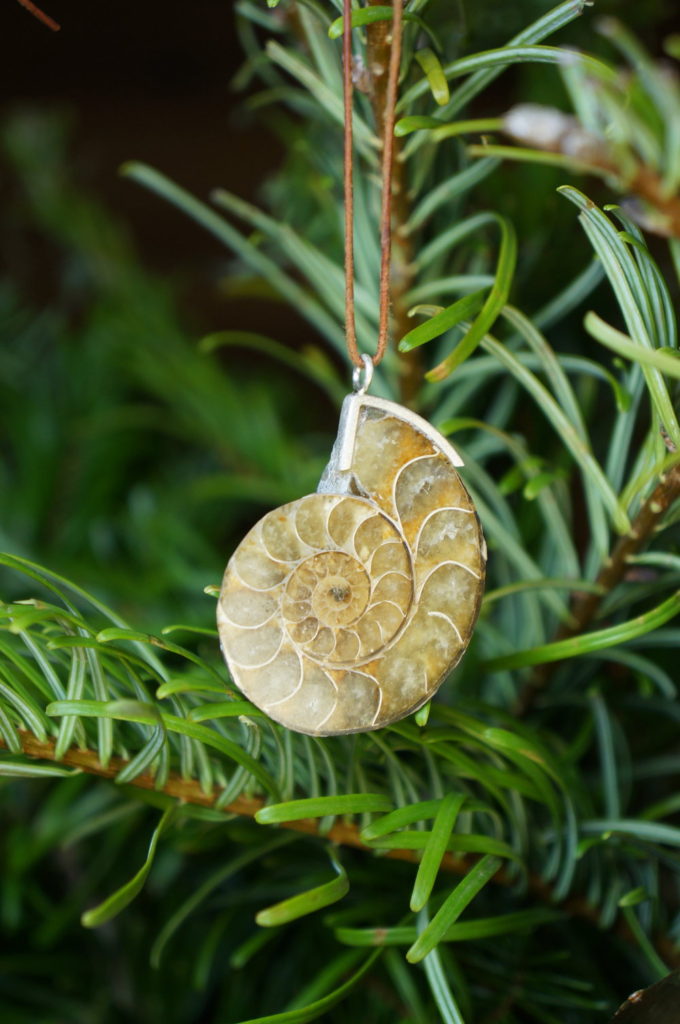 shell ornament