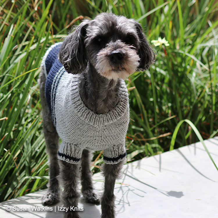 Shop Nfl Team Dog Sweaters