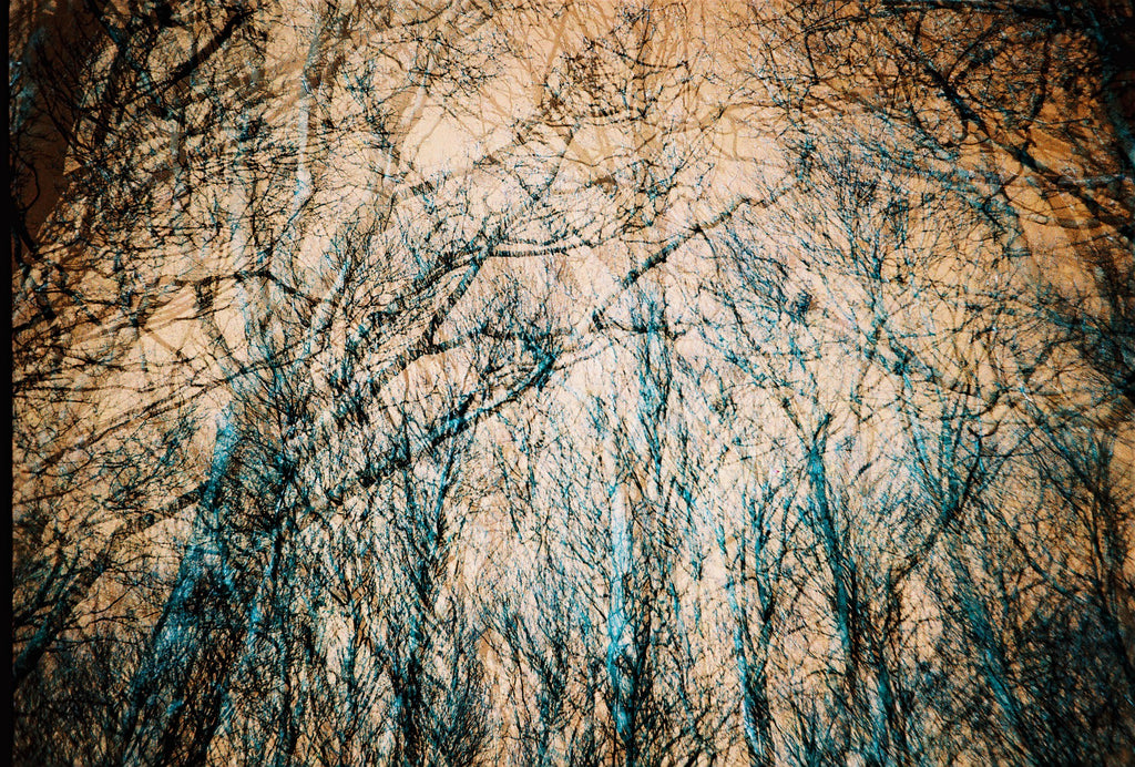 Multiple exposures on Lomography Turquoise