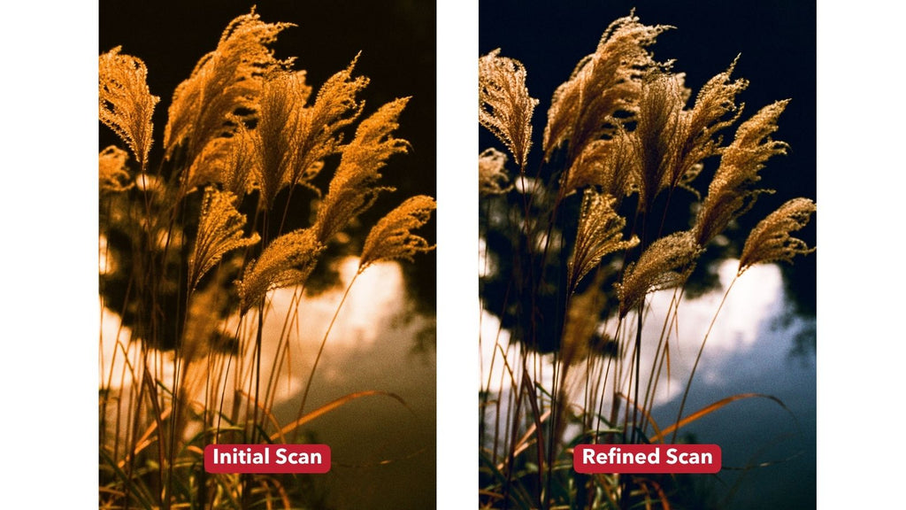 phoenix intial scan vs refined scan close up