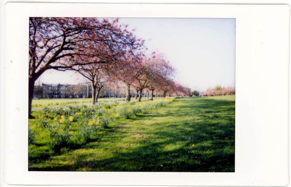 Instax Mini photo from Harrogate