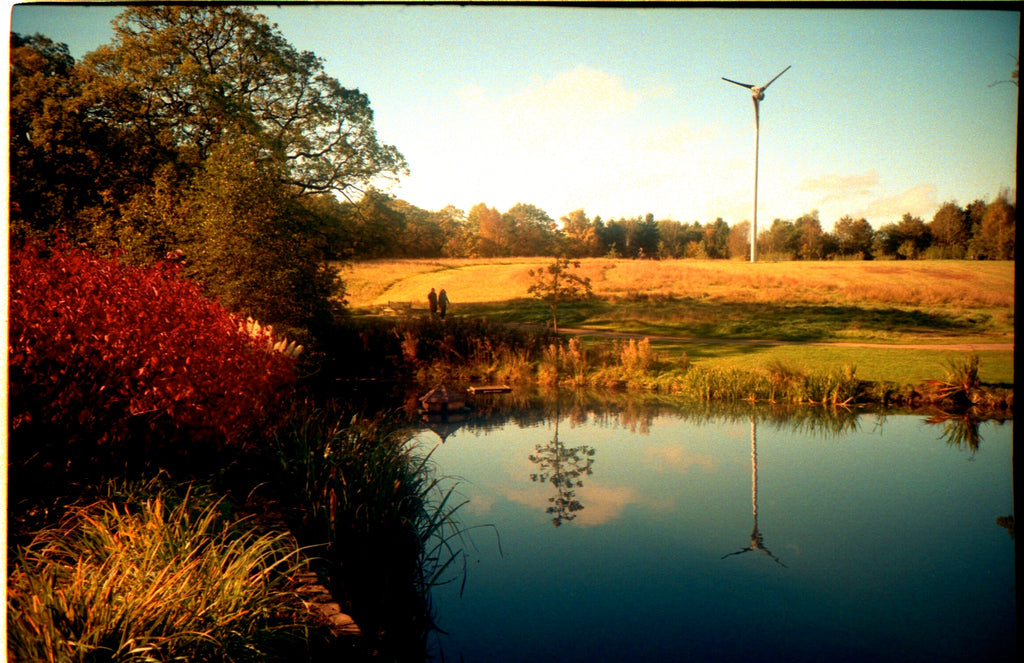 Sunny Day shot on film - using the exposure triangle and sunny 16 rule