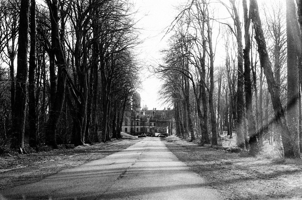The driveway of Dunrobin Castle on Ferrania P33 film