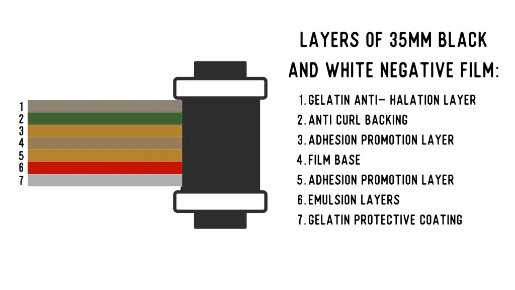 layers that make up a B&W negative film