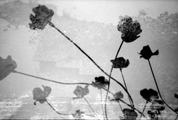 Kodak Winter Competition and Giveaway | Analogue Wonderland