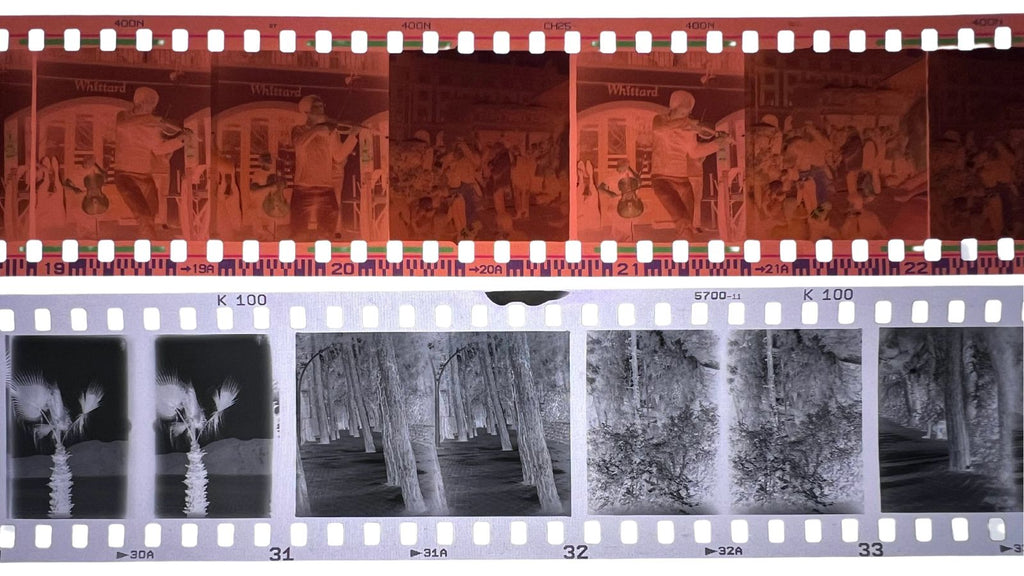 Two film strips: the top is a colour negative with a violinist, the bottom is a black-and-white negative of trees.