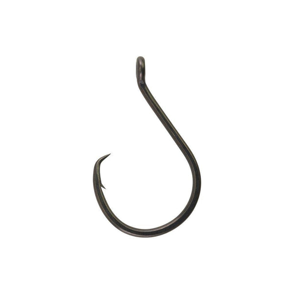 Berkley Fusion19 Offset Worm Hooks N.1/0 offset hooks