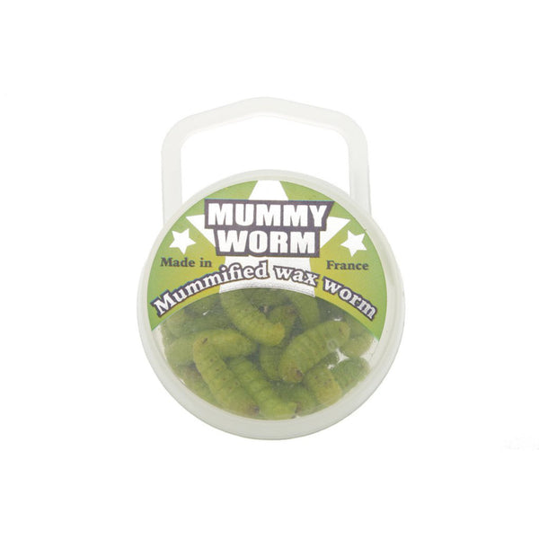 Red Wiggler Trout Worms (24 Pack) – Natural Sports - The Fishing Store