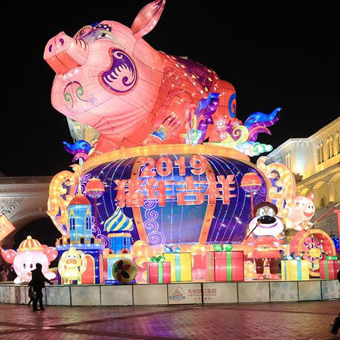 Year of the Pig