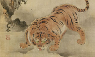 Chinese Tiger