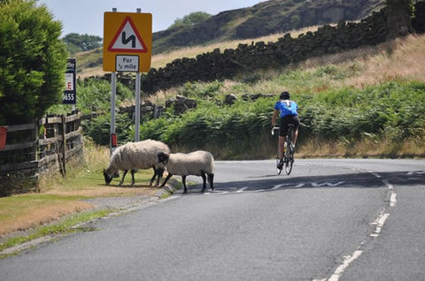 Cyclist