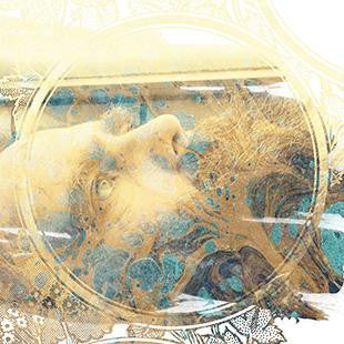 Transmontane : "Ville Fantôme" Lp - Comedy Minus One Records