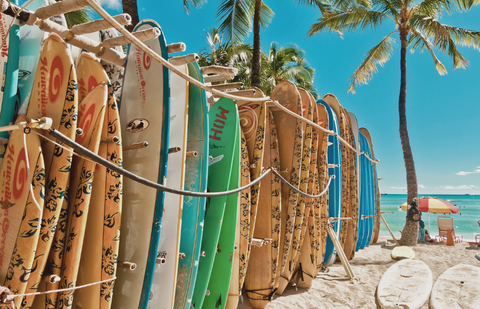 surfboards in different sizes and shapes