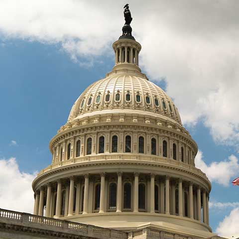 capitol building top