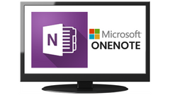 Office home and business Onenote