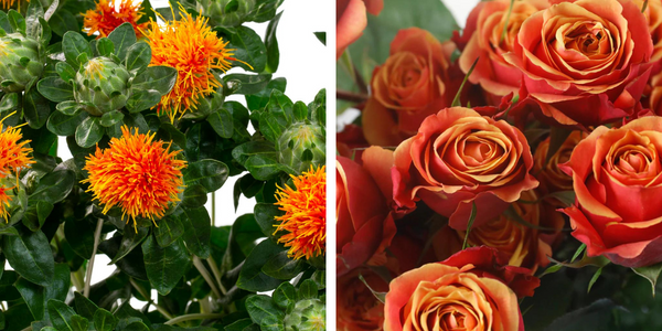 Inspirations fleurs automne