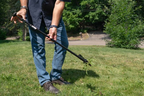 Easy Weeder for Weed Management of Yard