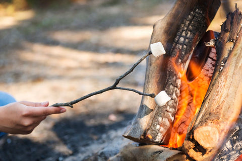 Stick Used for Roasting Marshmallows