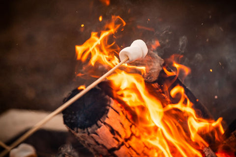 Bamboo Skewer Roasting Marshmallows