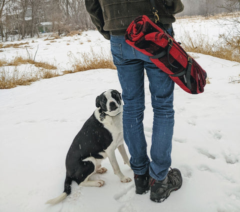 Red and Black Buffalo Check Fireside Wool Blanket and Angus the dog