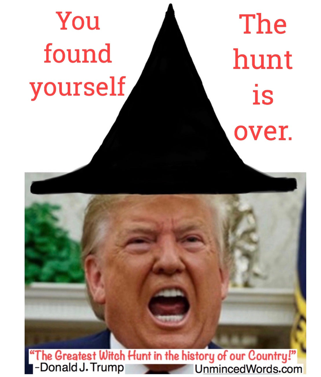 the-witch-hunt-is-over-unminced-words