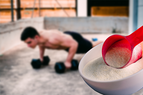 what are sports supplements