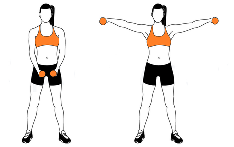 Hourglass Exercises for a Curvy Body: The Hourglass Figure Workout