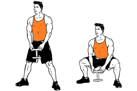 dumbbell sumo squat